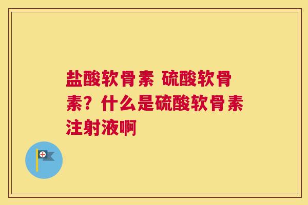 盐酸软骨素 硫酸软骨素？什么是硫酸软骨素注射液啊