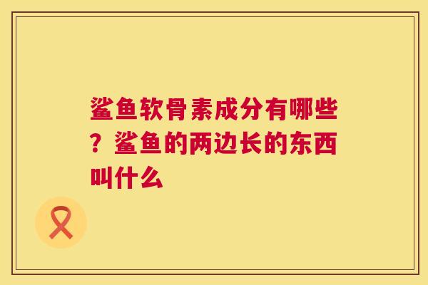 鲨鱼软骨素成分有哪些?鲨鱼的两边长的东西叫什么 鲨鱼软骨素成分有哪些?鲨鱼的两边长的东西叫什么