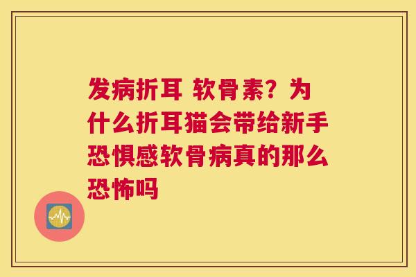 发病折耳 软骨素？为什么折耳猫会带给新手恐惧感软骨病真的那么恐怖吗