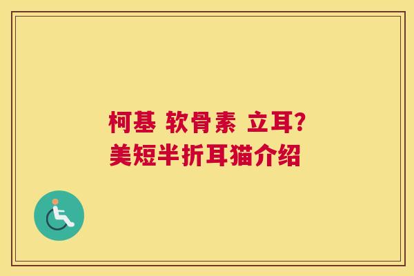 柯基 软骨素 立耳?美短半折耳猫介绍 柯基 软骨素 立耳?美短半折耳猫介绍