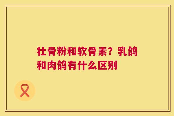 壮骨粉和软骨素?乳鸽和肉鸽有什么区别 壮骨粉和软骨素?乳鸽和肉鸽有什么区别