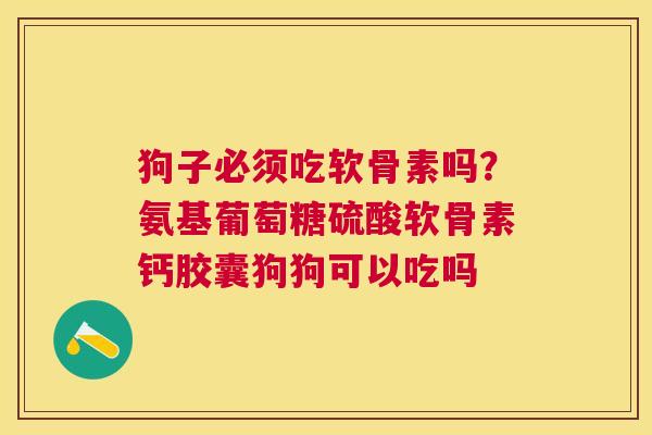 狗子必须吃软骨素吗？氨基葡萄糖硫酸软骨素钙胶囊狗狗可以吃吗