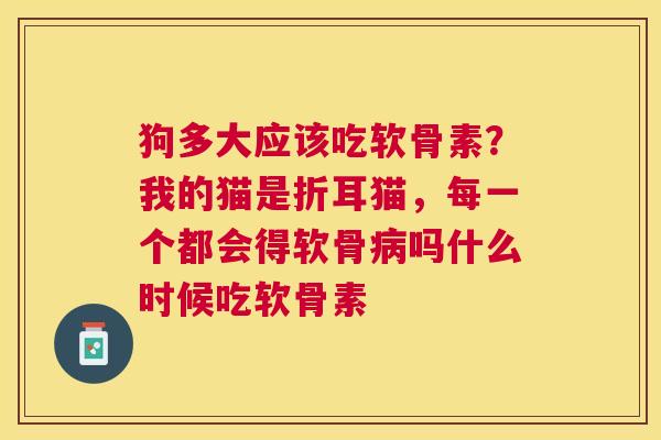 狗多大应该吃软骨素？我的猫是折耳猫，每一个都会得软骨病吗什么时候吃软骨素