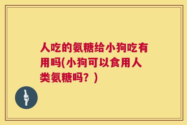 人吃的氨糖给小狗吃有用吗(小狗可以食用人类氨糖吗？)