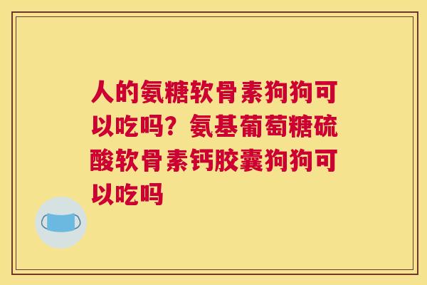 人的氨糖软骨素狗狗可以吃吗？氨基葡萄糖硫酸软骨素钙胶囊狗狗可以吃吗