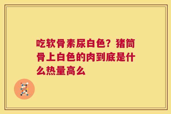 吃软骨素尿白色？猪筒骨上白色的肉到底是什么热量高么
