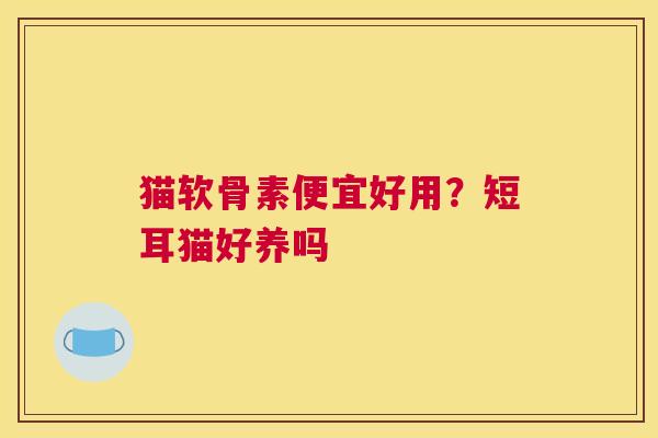 猫软骨素便宜好用？短耳猫好养吗