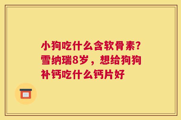 小狗吃什么含软骨素？雪纳瑞8岁，想给狗狗补钙吃什么钙片好