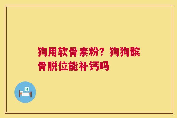 狗用软骨素粉？狗狗髌骨脱位能补钙吗