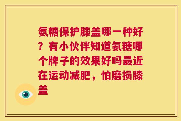 氨糖保护膝盖哪一种好？有小伙伴知道氨糖哪个牌子的效果好吗最近在运动减肥，怕磨损膝盖