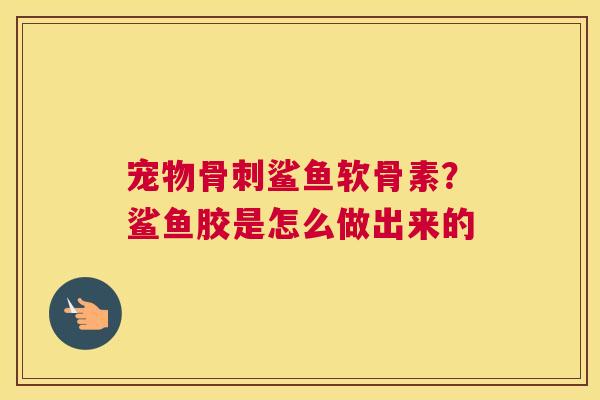 宠物鲨鱼软骨素？鲨鱼胶是怎么做出来的