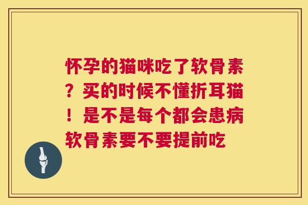 怀孕的猫咪吃了软骨素？买的时候不懂折耳猫！是不是每个都会患软骨素要不要提前吃