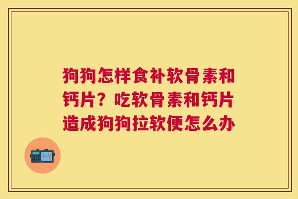 狗狗怎样食补软骨素和钙片？吃软骨素和钙片造成狗狗拉软便怎么办