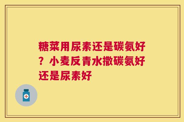 糖菜用尿素还是碳氨好？小麦反青水撒碳氨好还是尿素好