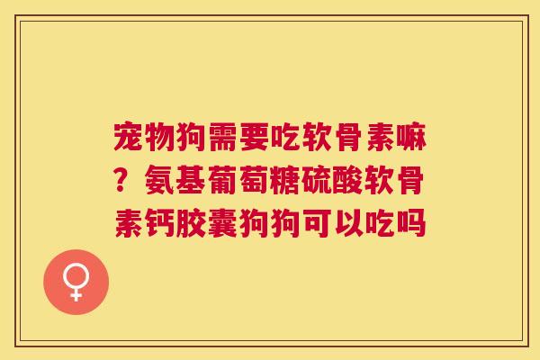 宠物狗需要吃软骨素嘛？氨基葡萄糖硫酸软骨素钙胶囊狗狗可以吃吗