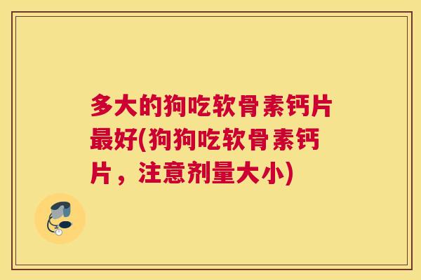 多大的狗吃软骨素钙片最好(狗狗吃软骨素钙片，注意剂量大小)