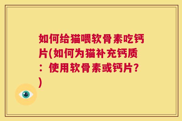 如何给猫喂软骨素吃钙片(如何为猫补充钙质：使用软骨素或钙片？)