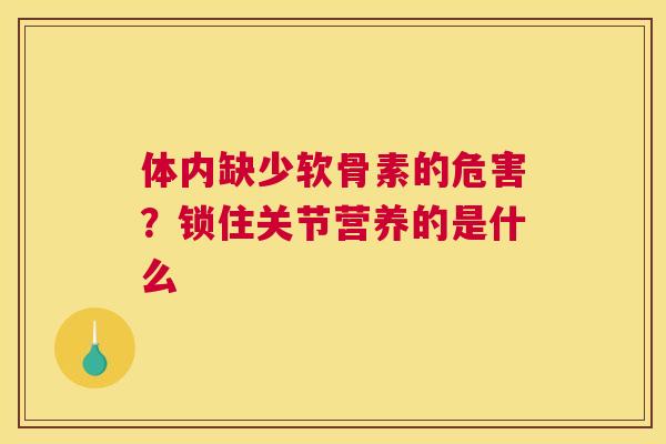 体内缺少软骨素的危害？锁住关节营养的是什么