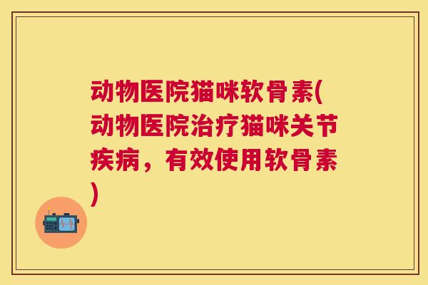 动物医院猫咪软骨素(动物医院治疗猫咪关节疾病，有效使用软骨素)