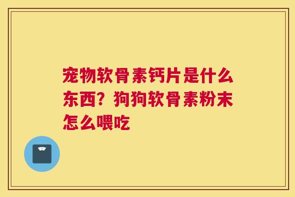 宠物软骨素钙片是什么东西？狗狗软骨素粉末怎么喂吃