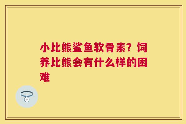 小比熊鲨鱼软骨素？饲养比熊会有什么样的困难