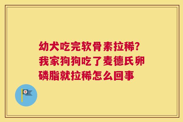 幼犬吃完软骨素拉稀?我家狗狗吃了麦德氏卵磷脂就拉稀怎么回事 幼犬吃完软骨素拉稀?我家狗狗吃了麦德氏卵磷脂就拉稀怎么回事