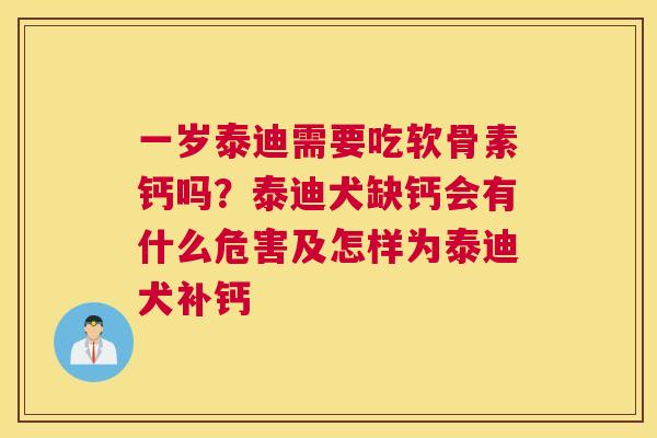 一岁泰迪需要吃软骨素钙吗？泰迪犬缺钙会有什么危害及怎样为泰迪犬补钙