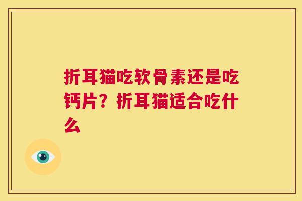 折耳猫吃软骨素还是吃钙片？折耳猫适合吃什么