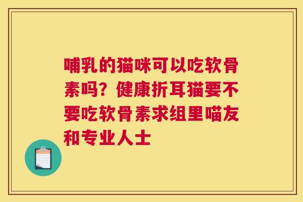 哺乳的猫咪可以吃软骨素吗？健康折耳猫要不要吃软骨素求组里喵友和专业人士