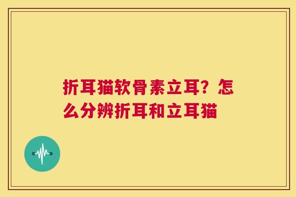 折耳猫软骨素立耳？怎么分辨折耳和立耳猫