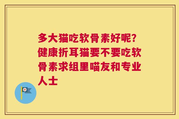 多大猫吃软骨素好呢？健康折耳猫要不要吃软骨素求组里喵友和专业人士