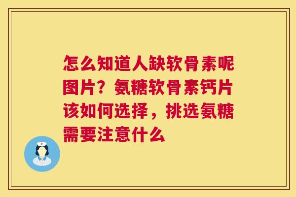 怎么知道人缺软骨素呢图片？氨糖软骨素钙片该如何选择，挑选氨糖需要注意什么