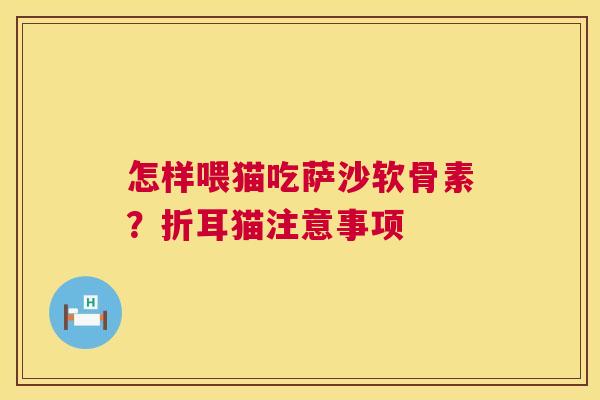 怎样喂猫吃萨沙软骨素？折耳猫注意事项