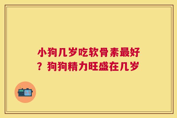 小狗几岁吃软骨素最好？狗狗精力旺盛在几岁