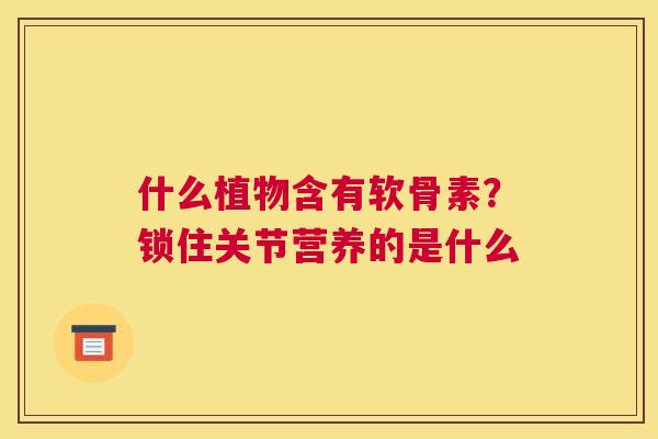 什么植物含有软骨素？锁住关节营养的是什么