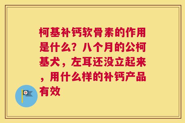 柯基补钙软骨素的作用是什么？八个月的公柯基犬，左耳还没立起来，用什么样的补钙产品有效