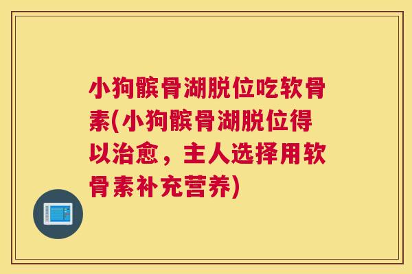 小狗髌骨湖脱位吃软骨素(小狗髌骨湖脱位得以治愈，主人选择用软骨素补充营养)