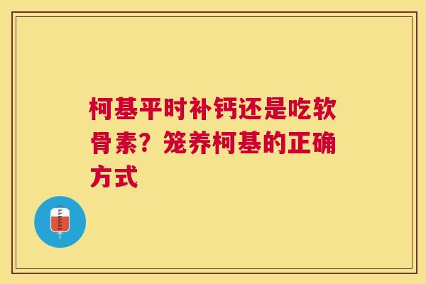 柯基平时补钙还是吃软骨素？笼养柯基的正确方式