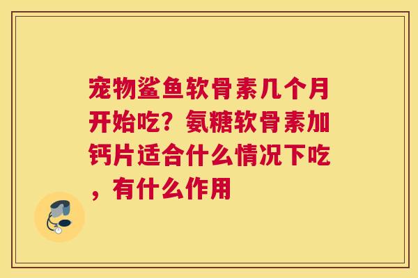宠物鲨鱼软骨素几个月开始吃？氨糖软骨素加钙片适合什么情况下吃，有什么作用