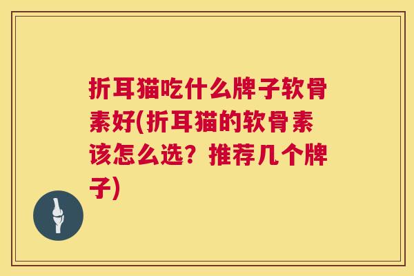折耳猫吃什么牌子软骨素好(折耳猫的软骨素该怎么选？推荐几个牌子)