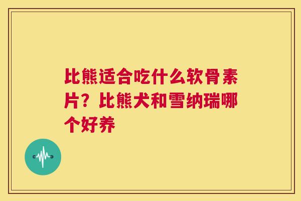 比熊适合吃什么软骨素片？比熊犬和雪纳瑞哪个好养