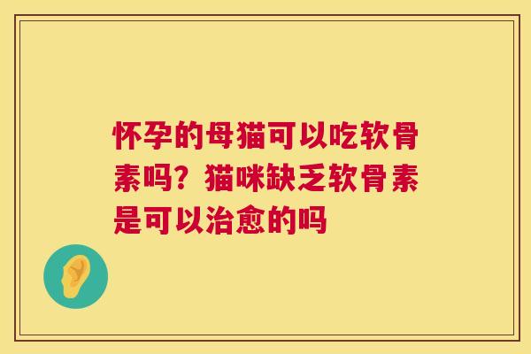 怀孕的母猫可以吃软骨素吗？猫咪缺乏软骨素是可以愈的吗