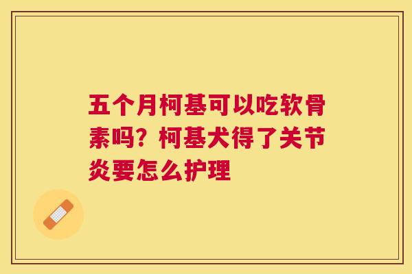 五个月柯基可以吃软骨素吗？柯基犬得了关节炎要怎么护理