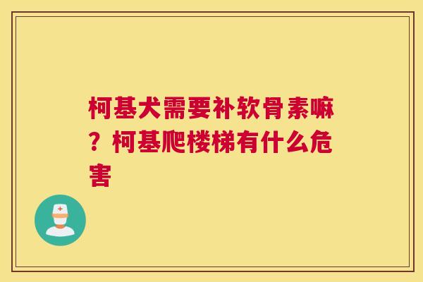 柯基犬需要补软骨素嘛？柯基爬楼梯有什么危害