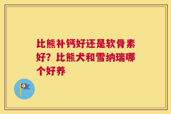 比熊补钙好还是软骨素好？比熊犬和雪纳瑞哪个好养