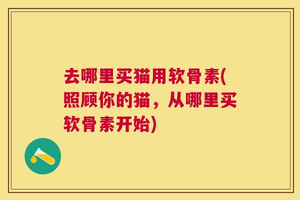 去哪里买猫用软骨素(照顾你的猫，从哪里买软骨素开始)