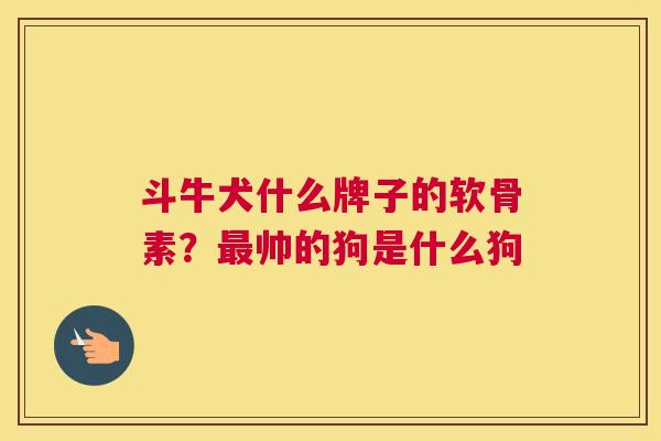斗牛犬什么牌子的软骨素？帅的狗是什么狗