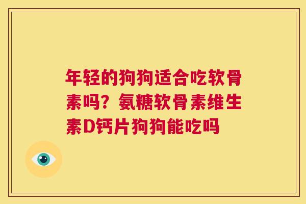 年轻的狗狗适合吃软骨素吗？氨糖软骨素维生素D钙片狗狗能吃吗