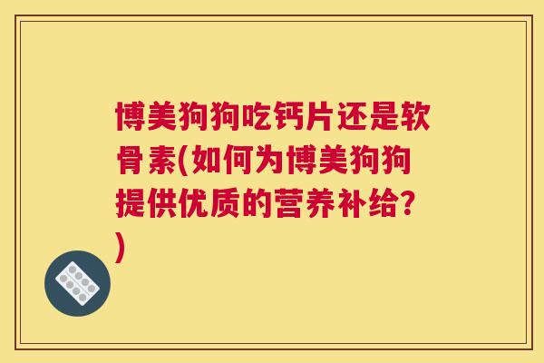 博美狗狗吃钙片还是软骨素(如何为博美狗狗提供优质的营养补给？)