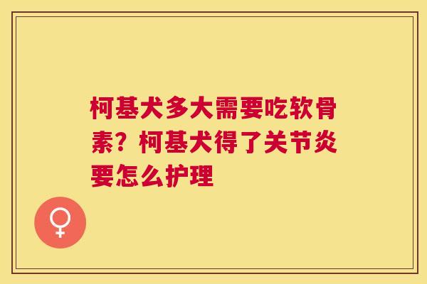柯基犬多大需要吃软骨素？柯基犬得了要怎么护理